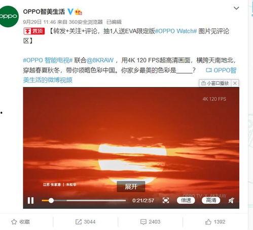 电白论坛星期三最新爆料,最新事件揭秘，星期三热点追踪